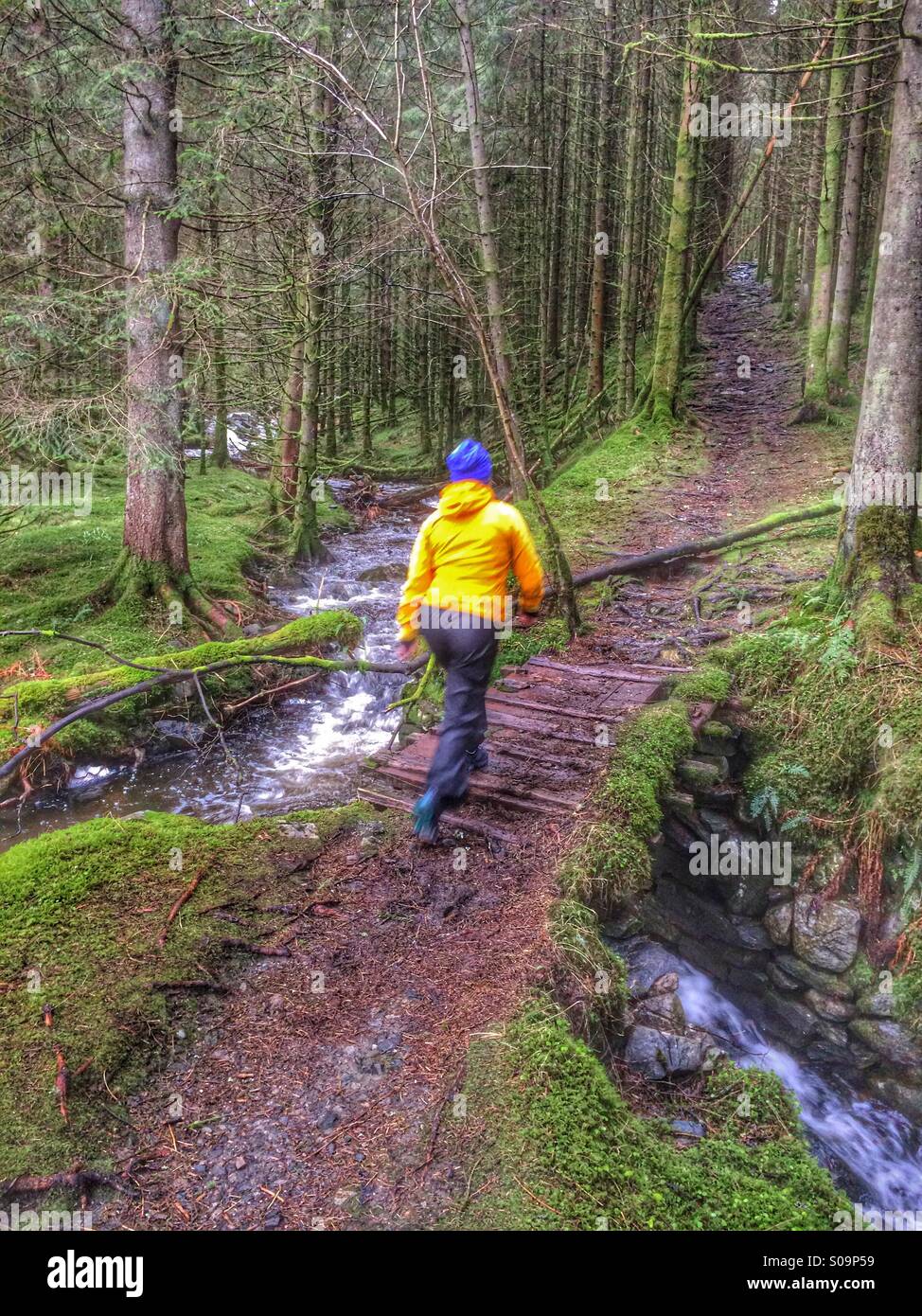 Wandern an der alten Post Straße zwischen Trondheim und Bergen. Stockfoto