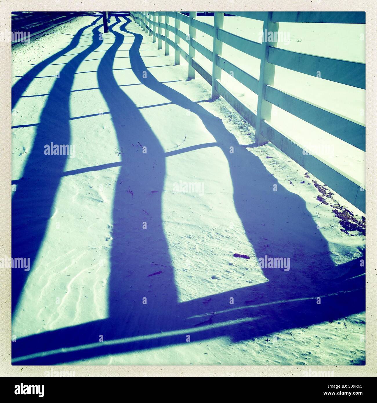 Ein weißer Zaun und Schatten auf dem Schnee Stockfoto