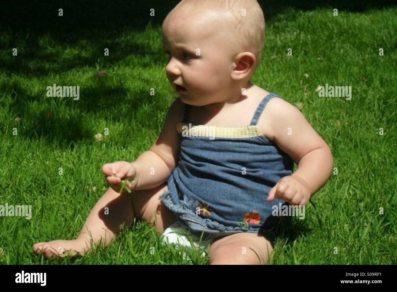 Ein Baby-Kommissionierung-Rasen Stockfoto
