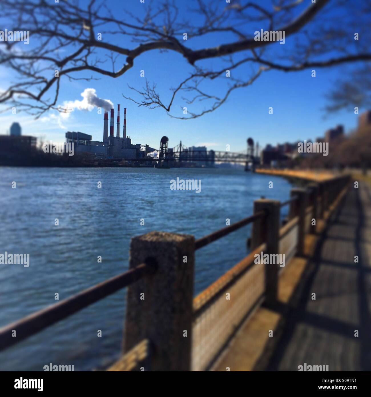 Roosevelt Island Waterfront Stockfoto