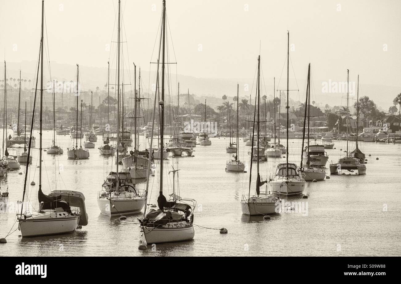 Segelboote vor Anker, Newport Beach, Kalifornien. Stockfoto