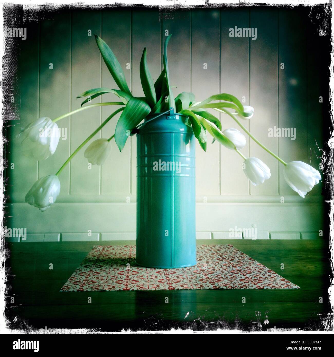 Tulpen in einer blau/grün Zinn Vase gegen eine gemalte weiße Holzwand auf einer floralen Matte auf einen Eichentisch welken. - Smartphone-aufgenommenes Stockfoto