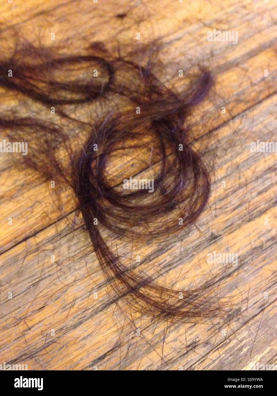 Haare auf Boden nach dem Haare schneiden - Smartphone-aufgenommenes Stockfoto