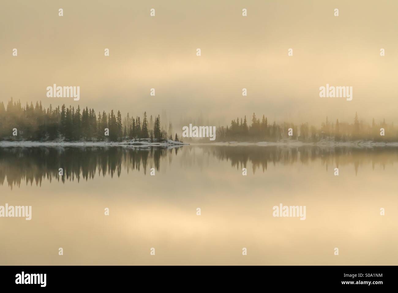 Wald und See Stockfoto