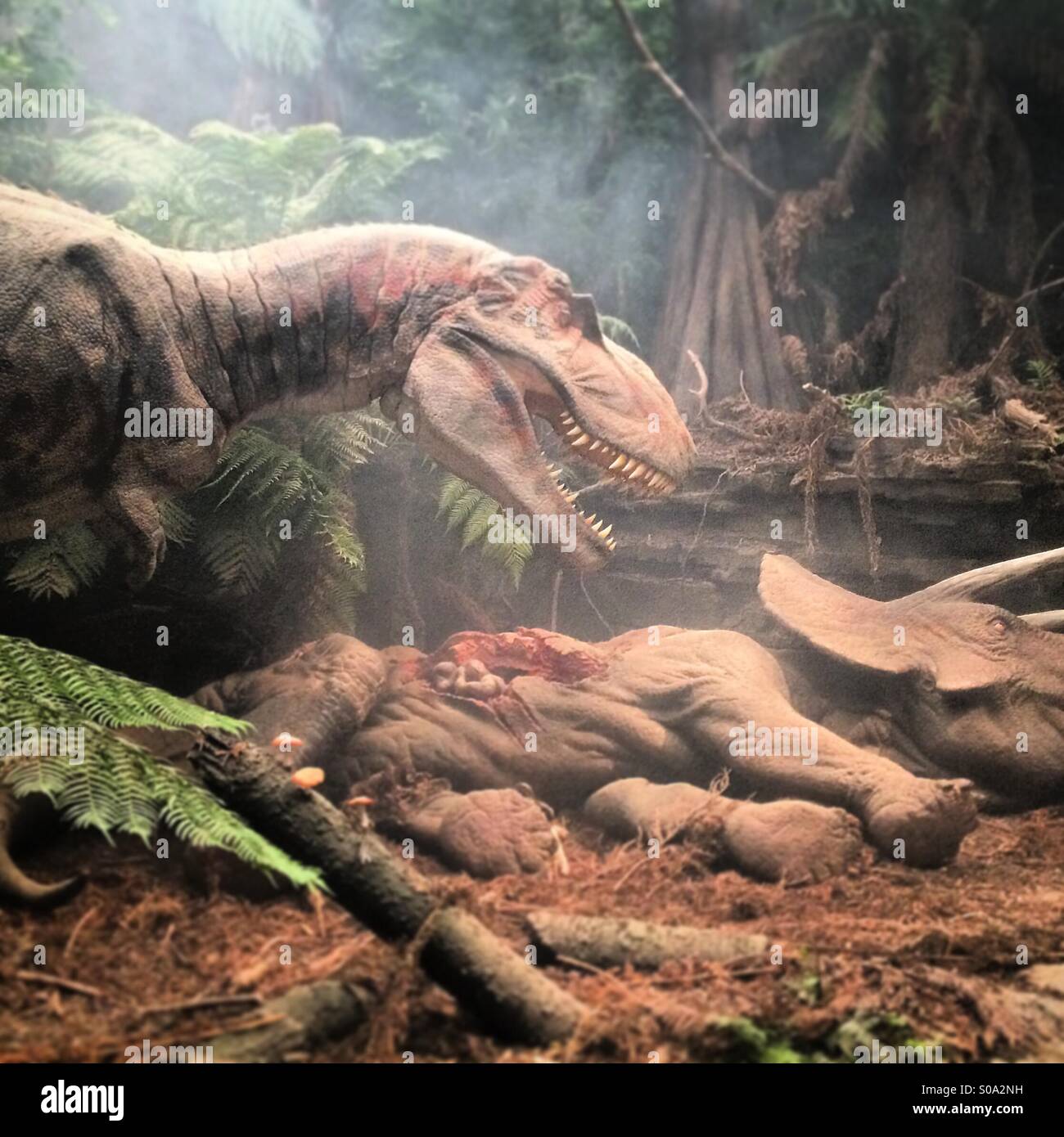 Dinosaurier Ausstellung im Eden Project in Cornwall im Sommer 2014 Stockfoto
