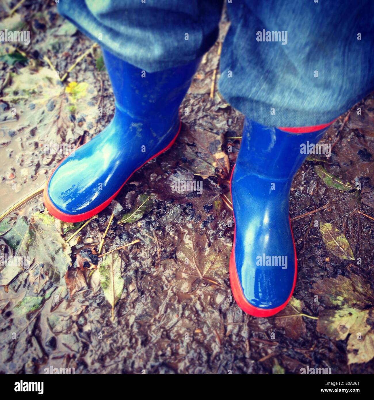 Kind trägt Gummistiefel Stockfoto