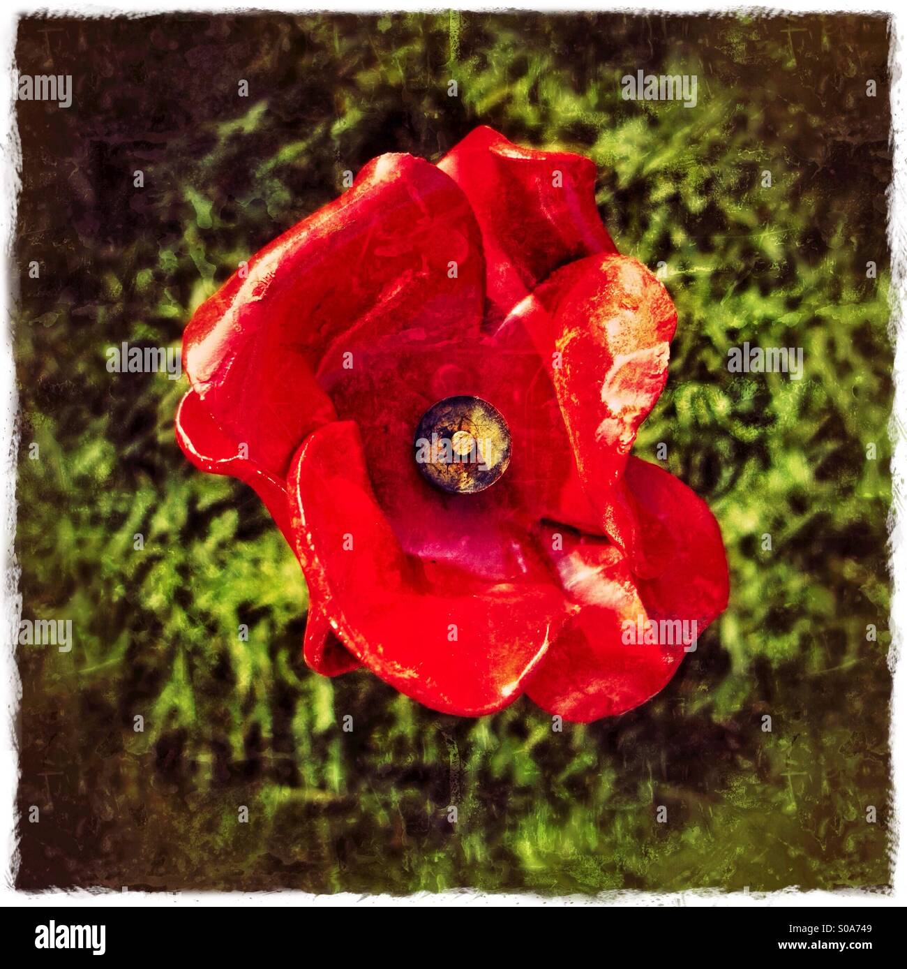 Keramik Mohn Bestandteil der Paul Cummins Kunstinstallation "Blut fegte Länder und Meere rot" UK 2014 Stockfoto