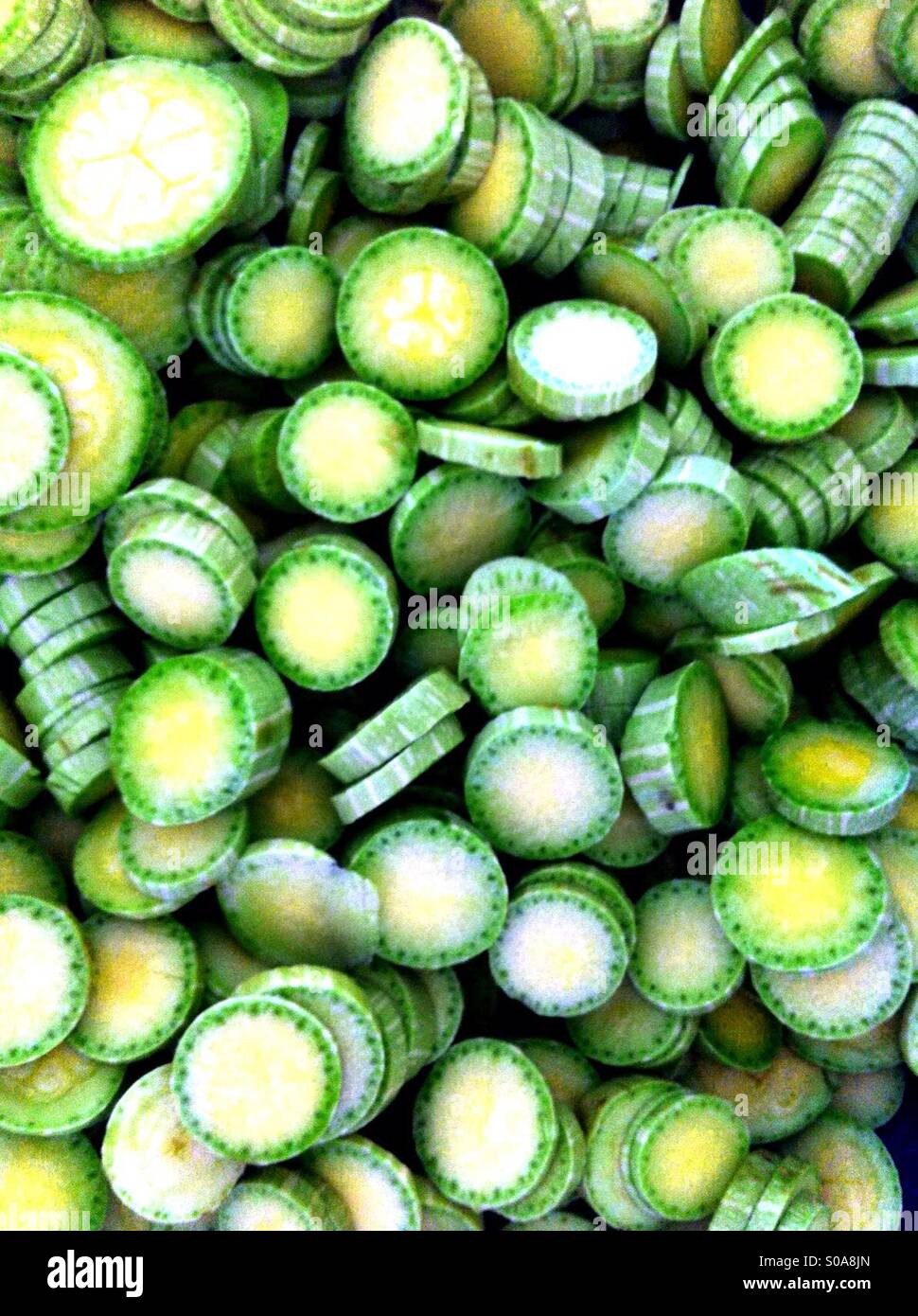 Grüne Zucchini Stockfoto