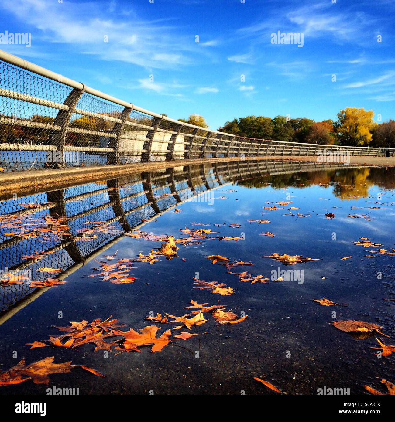 Reflexion an Corona Park, Königinnen, New York Stockfoto