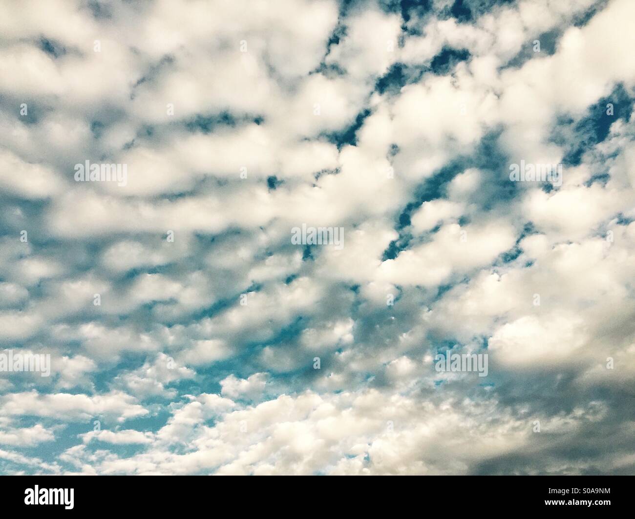 Weiße geschwollenen Wolken vor blauem Himmel diagonal bewegen Stockfoto