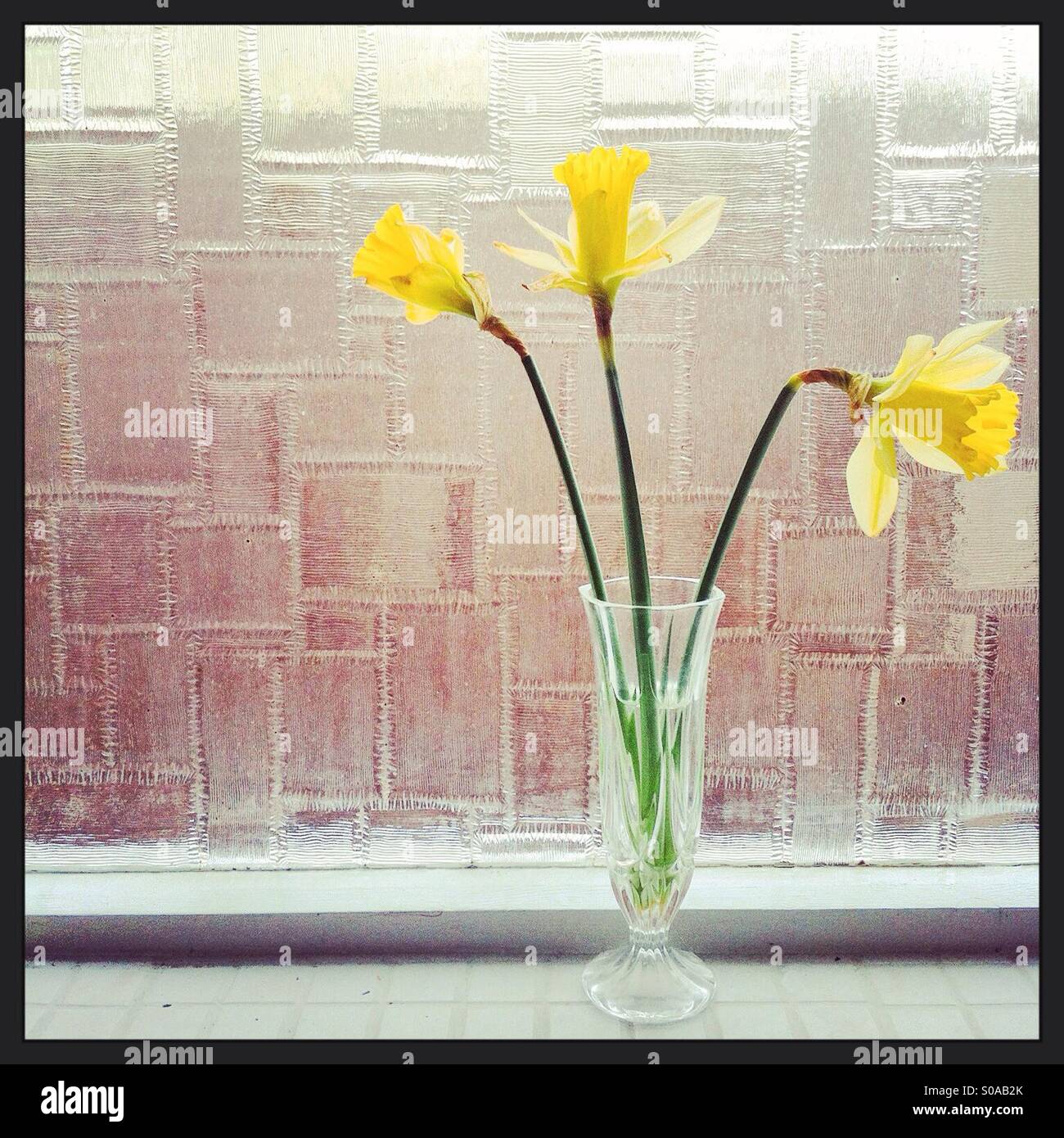 Drei Narzissen in ein geschliffenes Glas Vintage Glas durch ein Fenster. - Smartphone-aufgenommenes Stockfoto