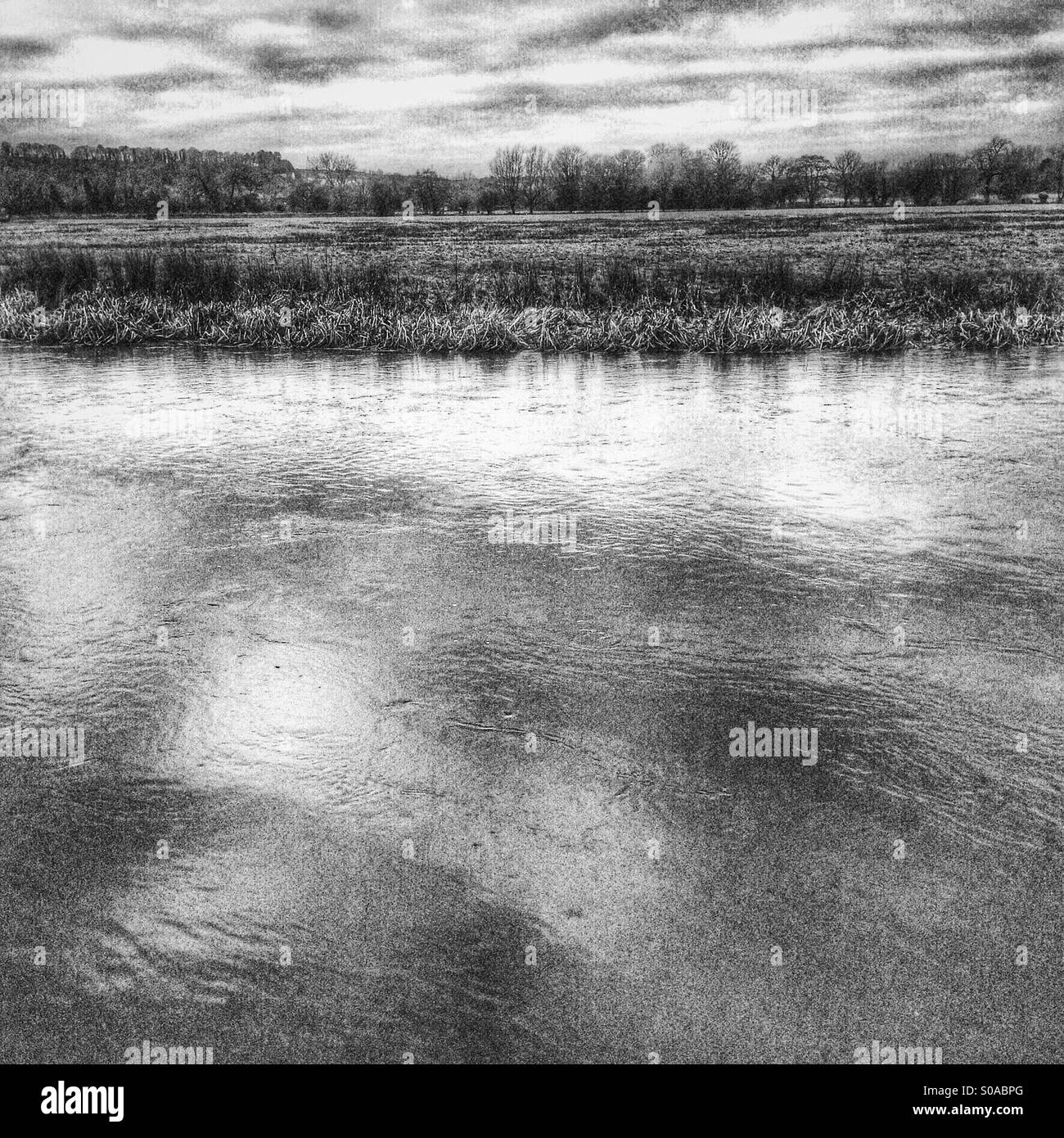 Fluß Avon Salisbury Stockfoto