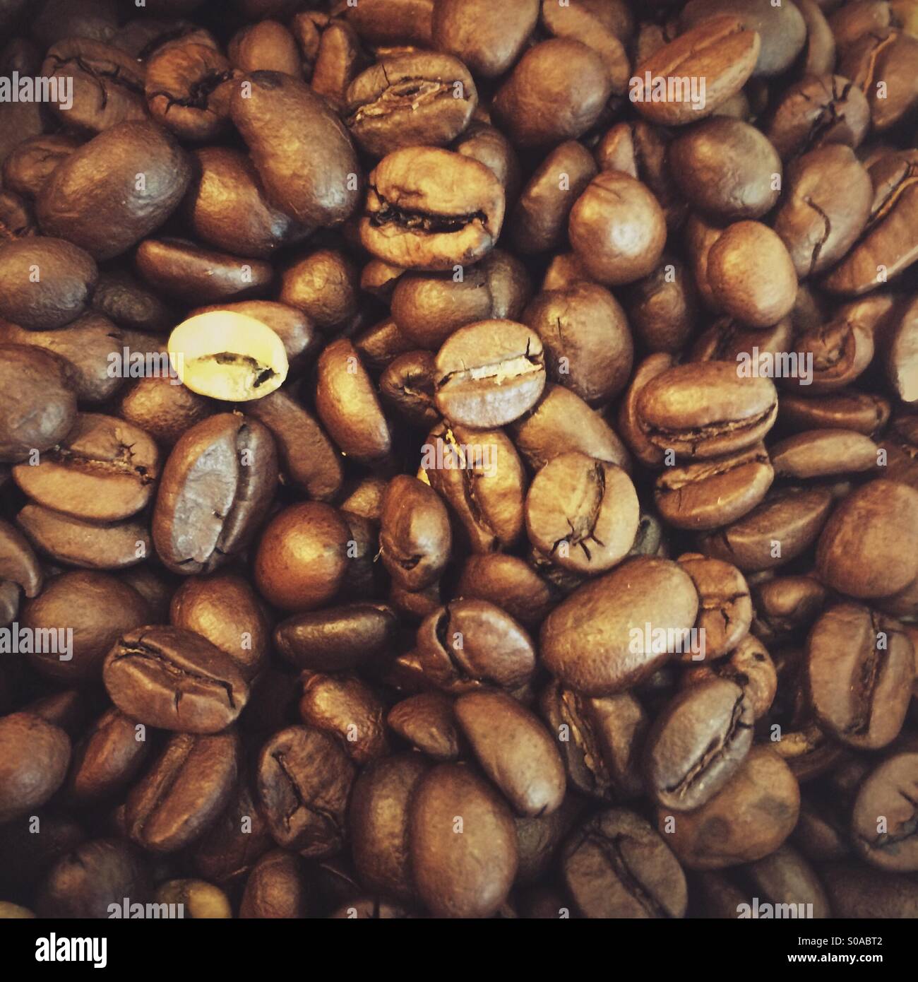 Kaffee Bohnen - Smartphone-aufgenommenes Stockfoto