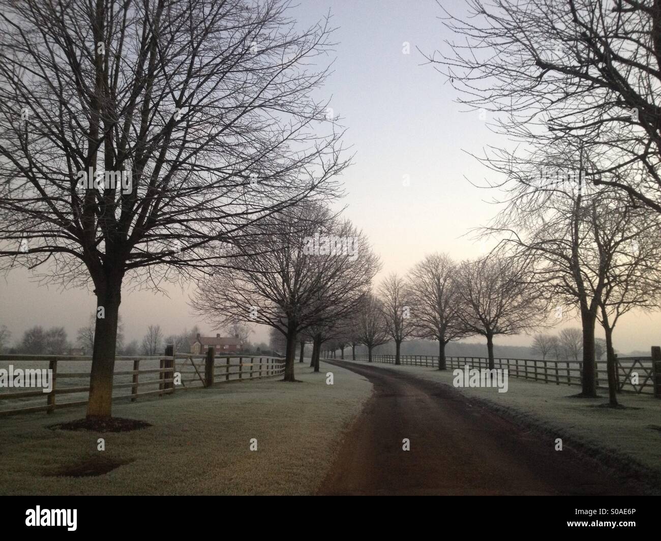 Wintertag in üppigen England Stockfoto