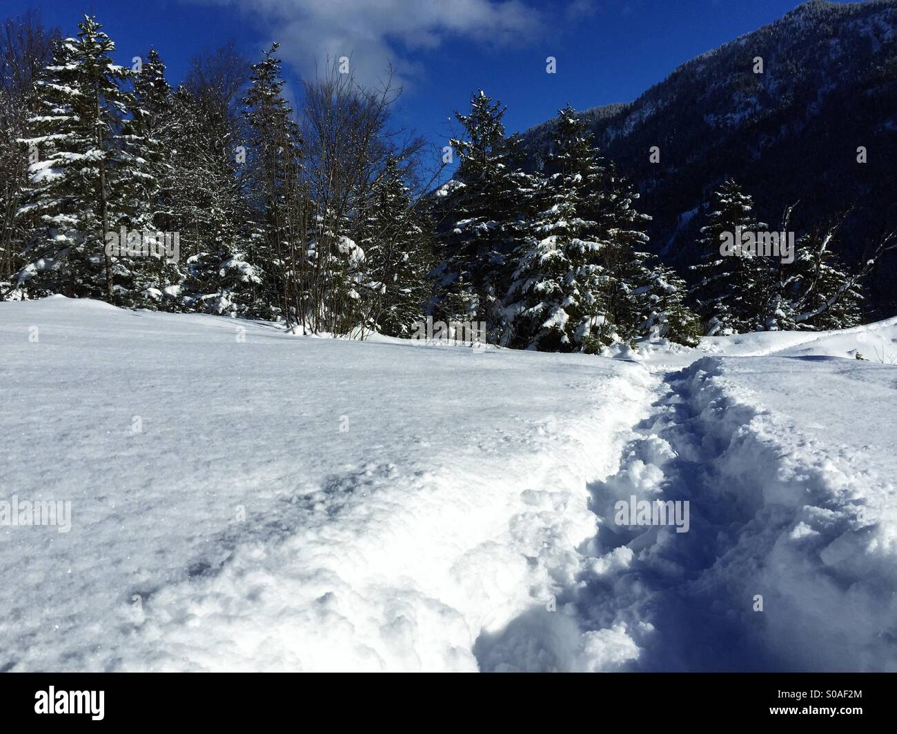 Spuren im Schnee Stockfoto