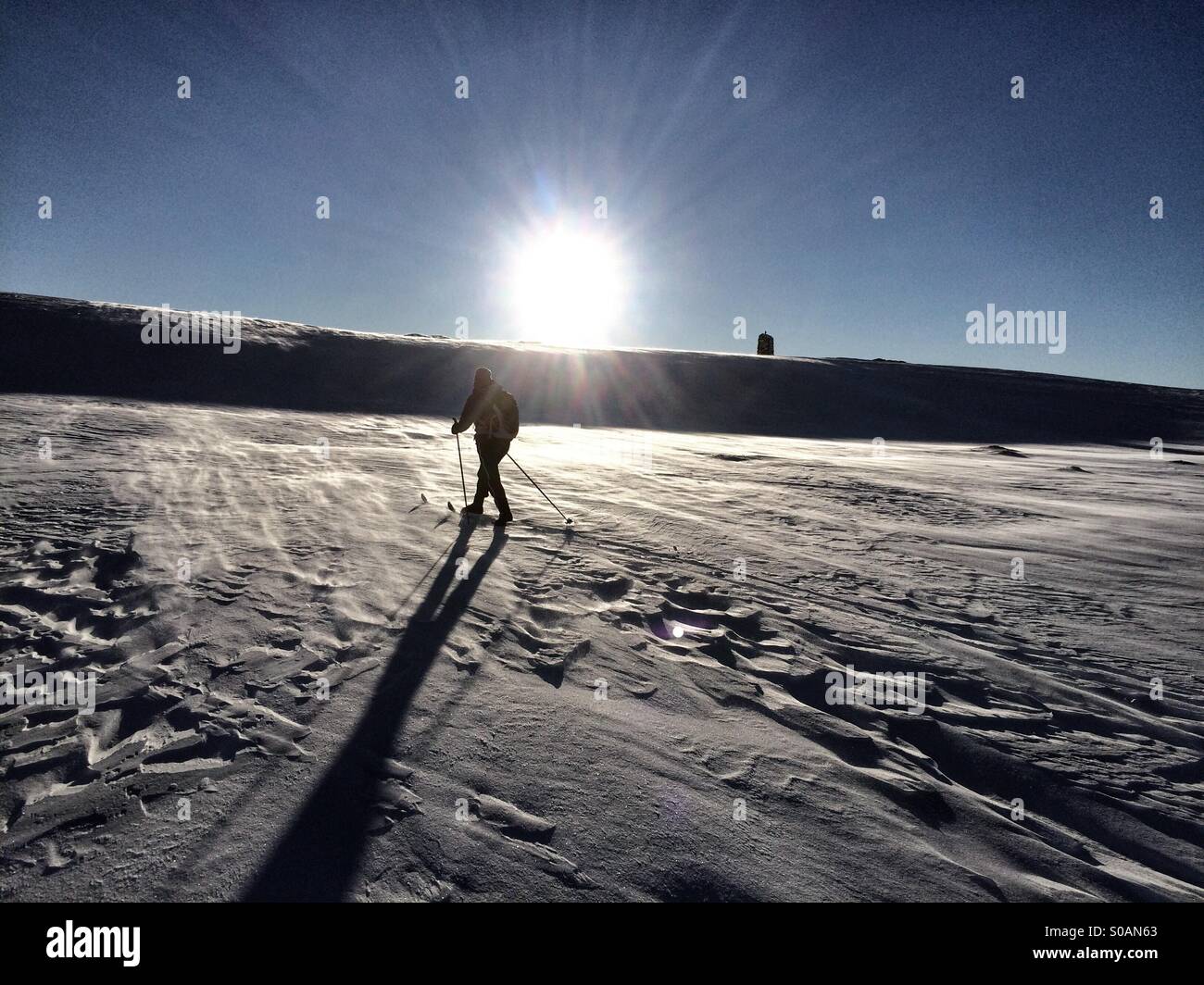 Nordische Ski Langlaufen in die Sonne wirft einen langen Schatten. Stockfoto