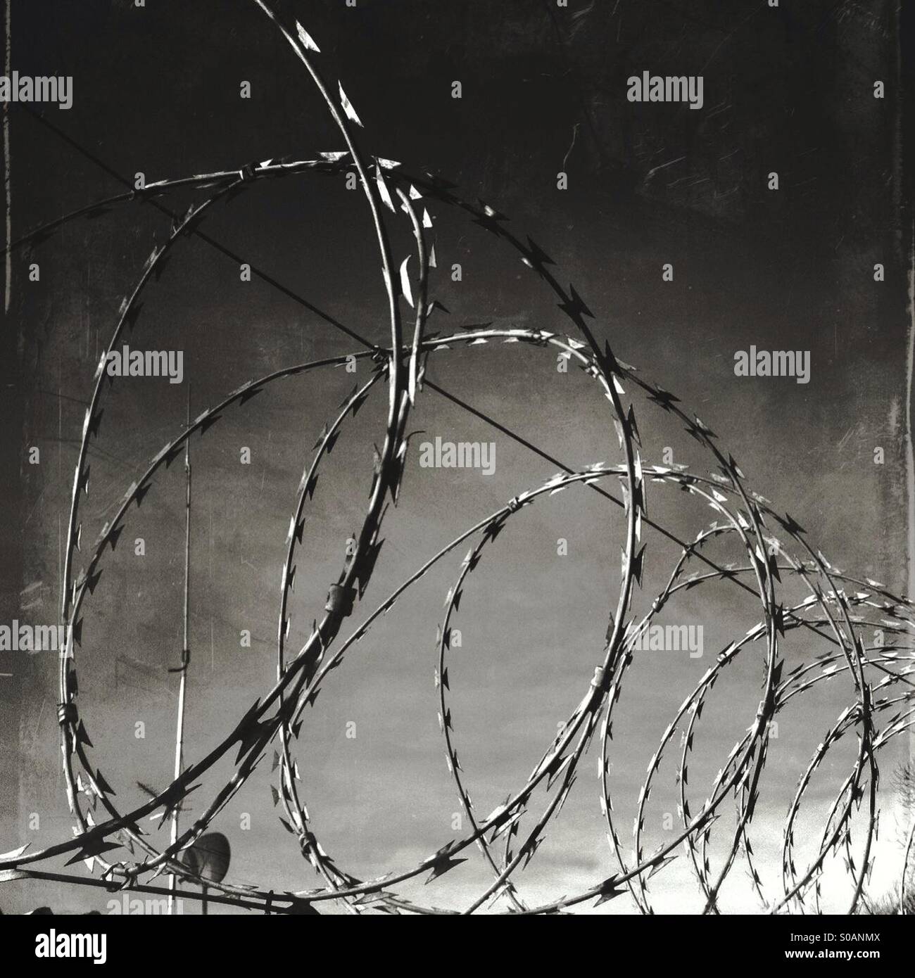 Stacheldraht. - Smartphone-aufgenommenes Stockfoto