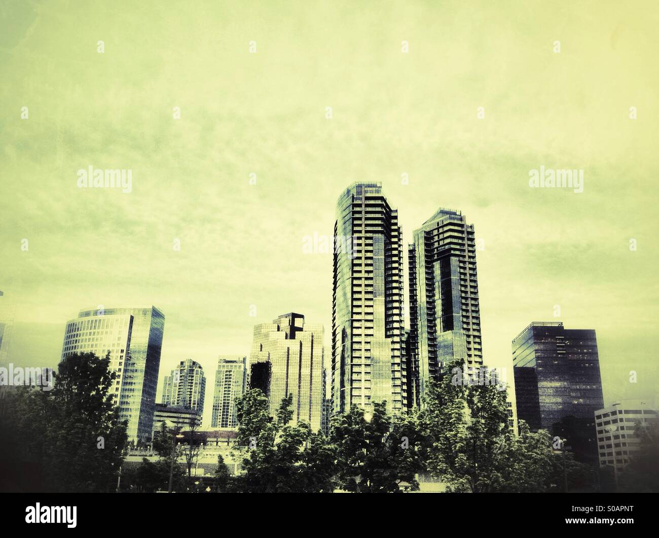 Hochhäuser in der Innenstadt von Bellevue, Washington state Stockfoto