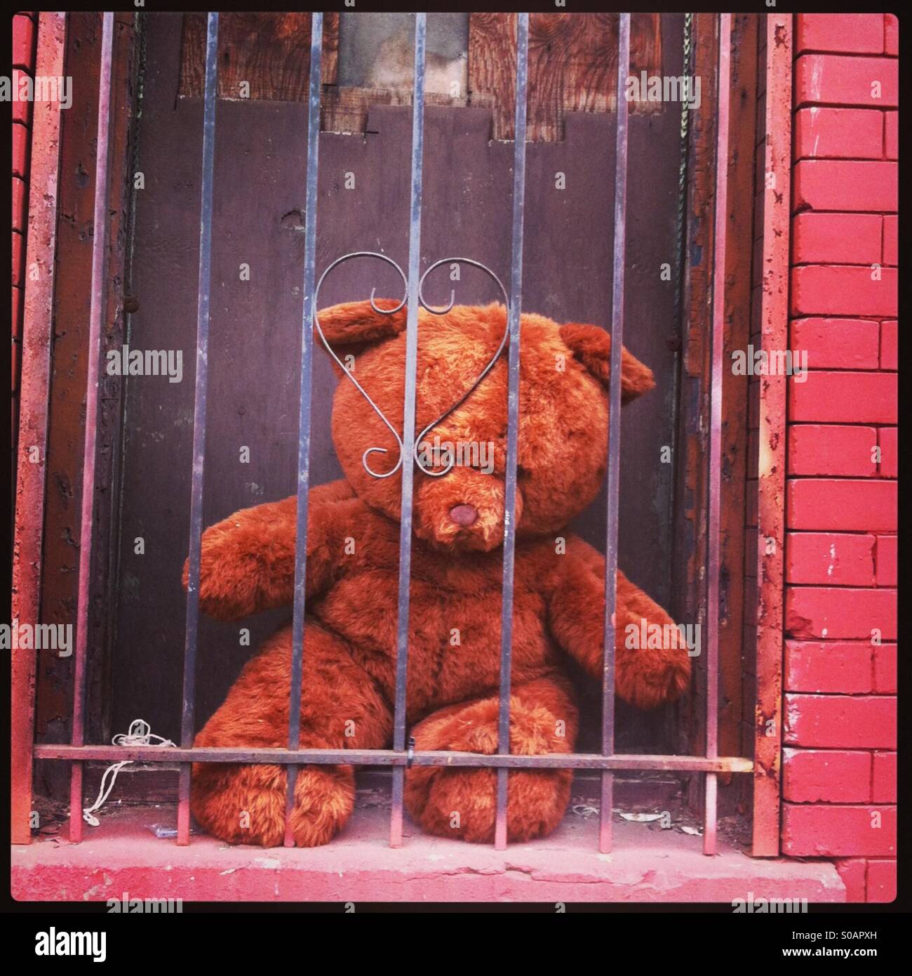 Teddy Bär hinter Gittern in Greenpoint, Brooklyn Stockfoto