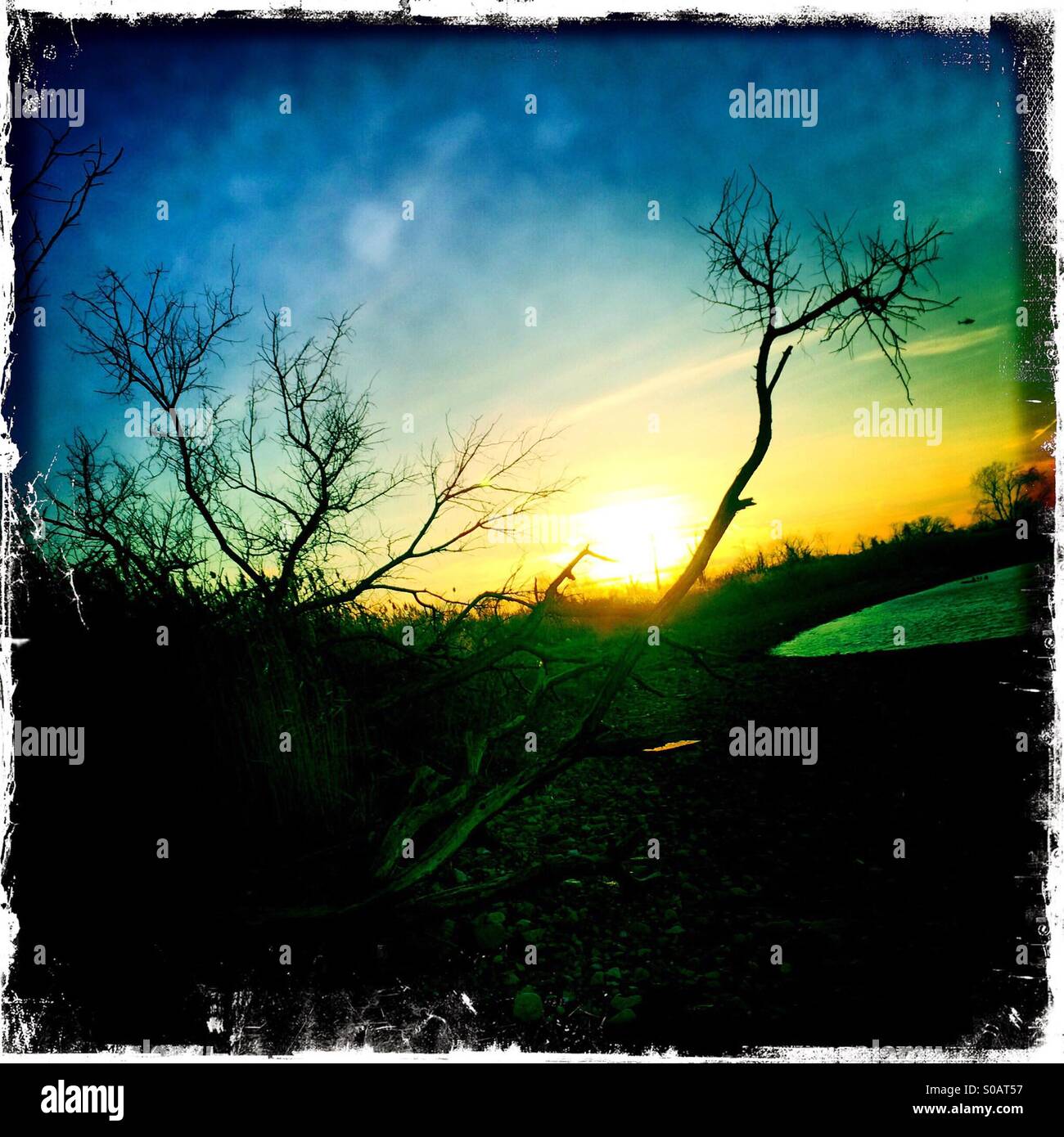 Sonnenuntergang über der Küste Sümpfe von Floyd Bennett Field, Jamaica Bay Wildlife Refuge. Stockfoto