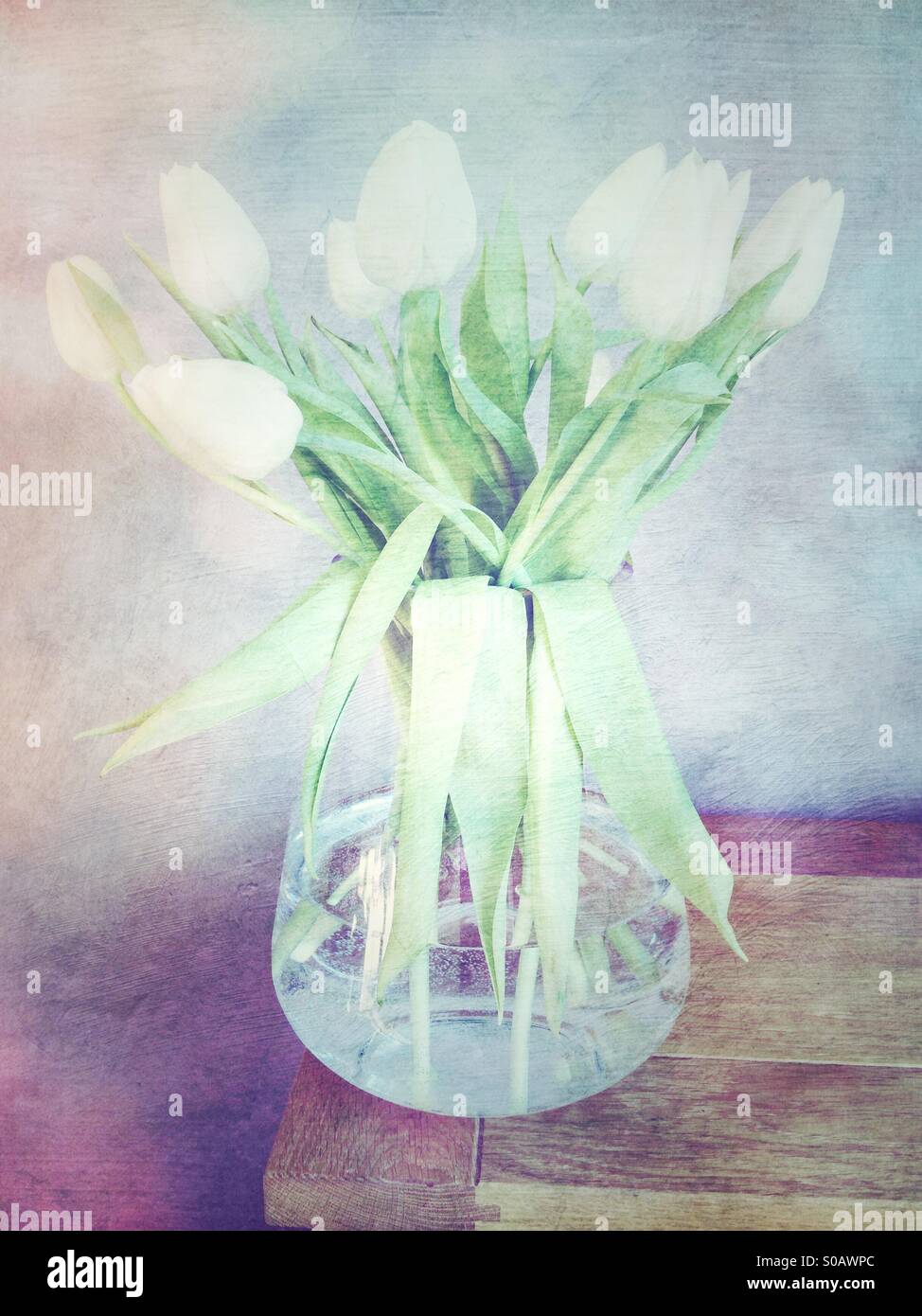 Vintage weiße Tulpen in vase Stockfoto