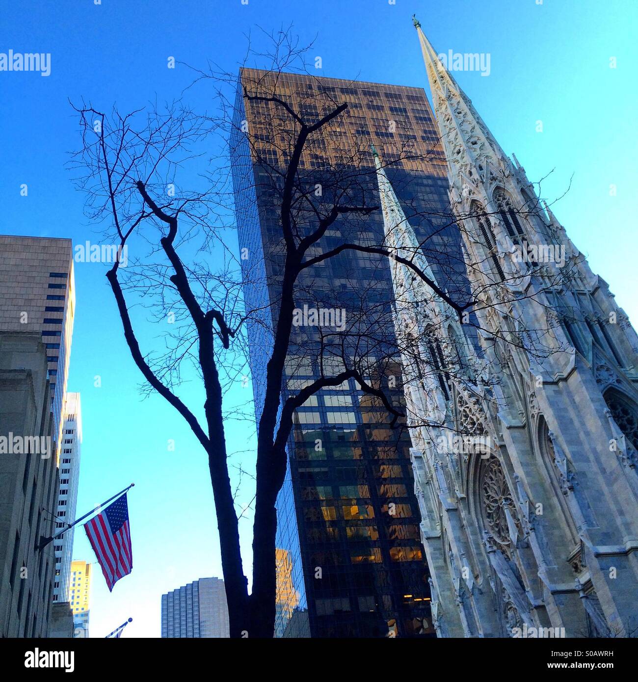 St. Patricks Kirche auf der 5th Avenue in New York City. Stockfoto