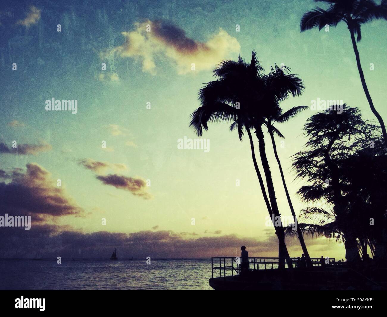 Hawaiian Sunset und Palmen Silhouetten Stockfoto