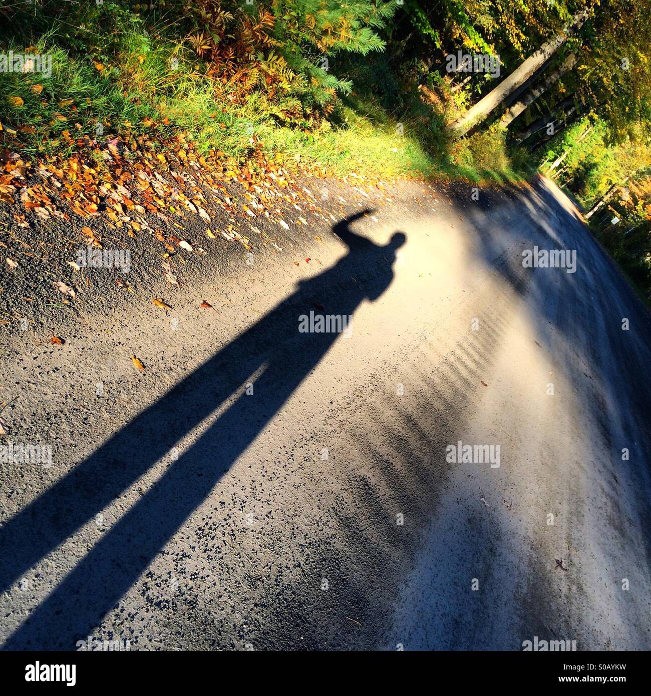 Langen Schatten einer Person auf einem Feldweg in den Catskill Mountains. Stockfoto