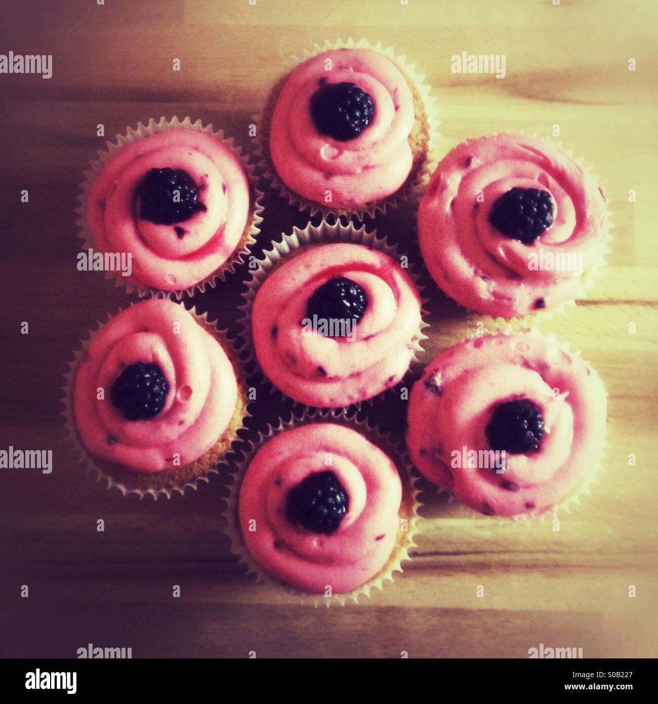BlackBerry Feenkuchen oder Tasse Kuchen Stockfoto