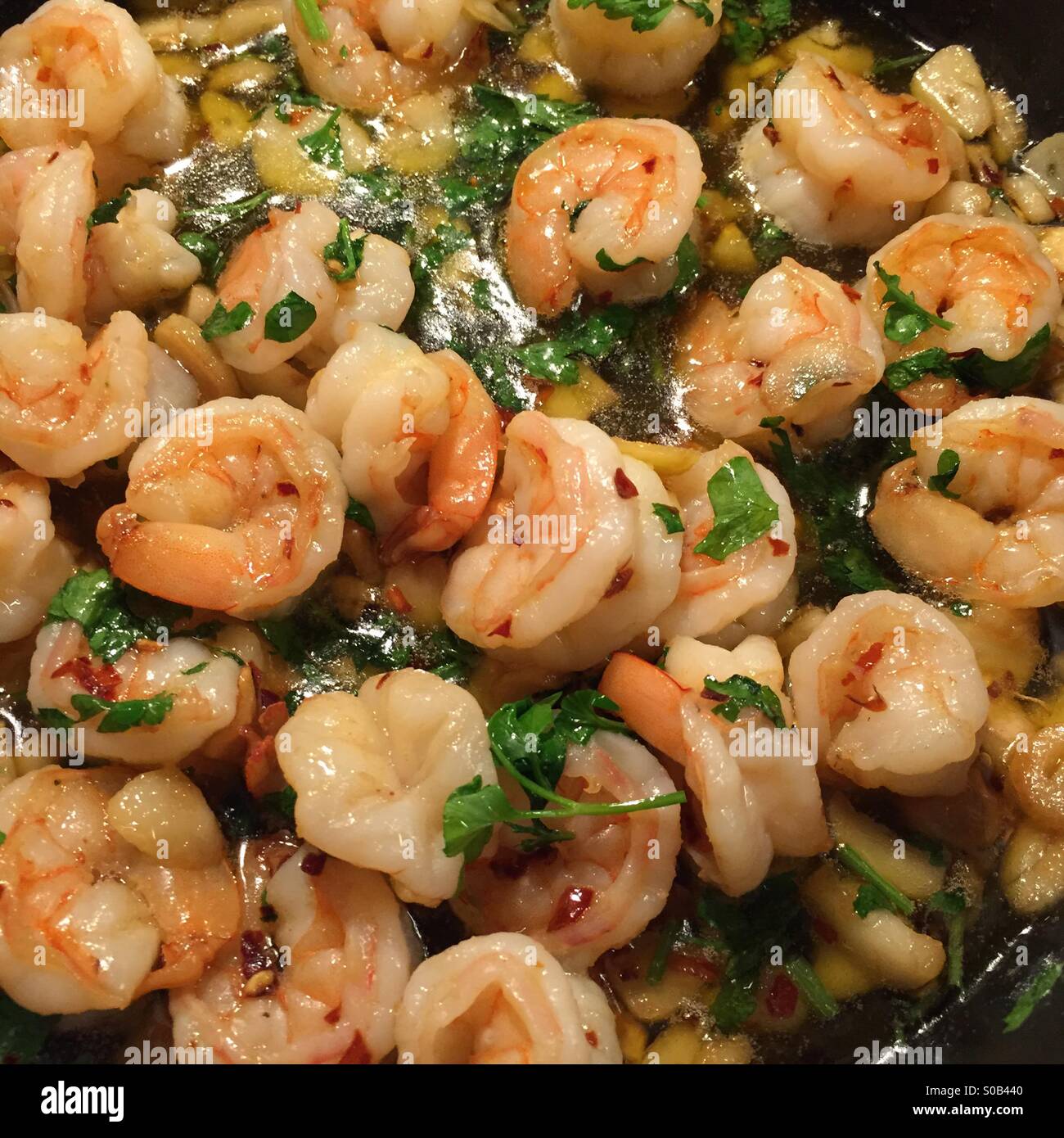 Shrimp scampi Stockfoto