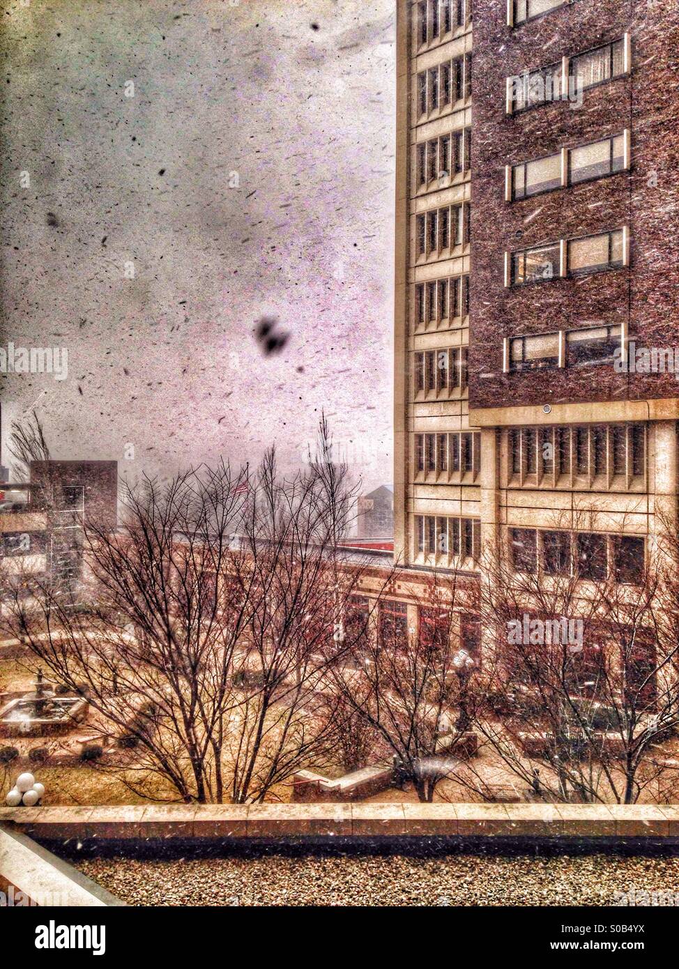 Große Schneeflocke als durch ein Krankenhaus-Fenster gesehen. Stockfoto