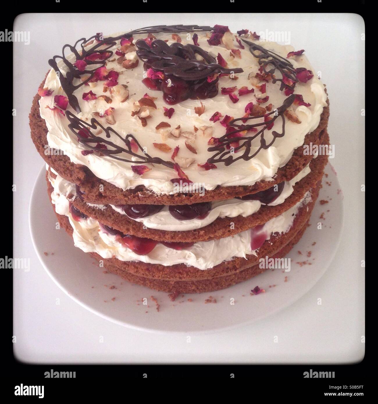 Schwarzwälder Kirschtorte Stil Creme Kuchen Stockfoto