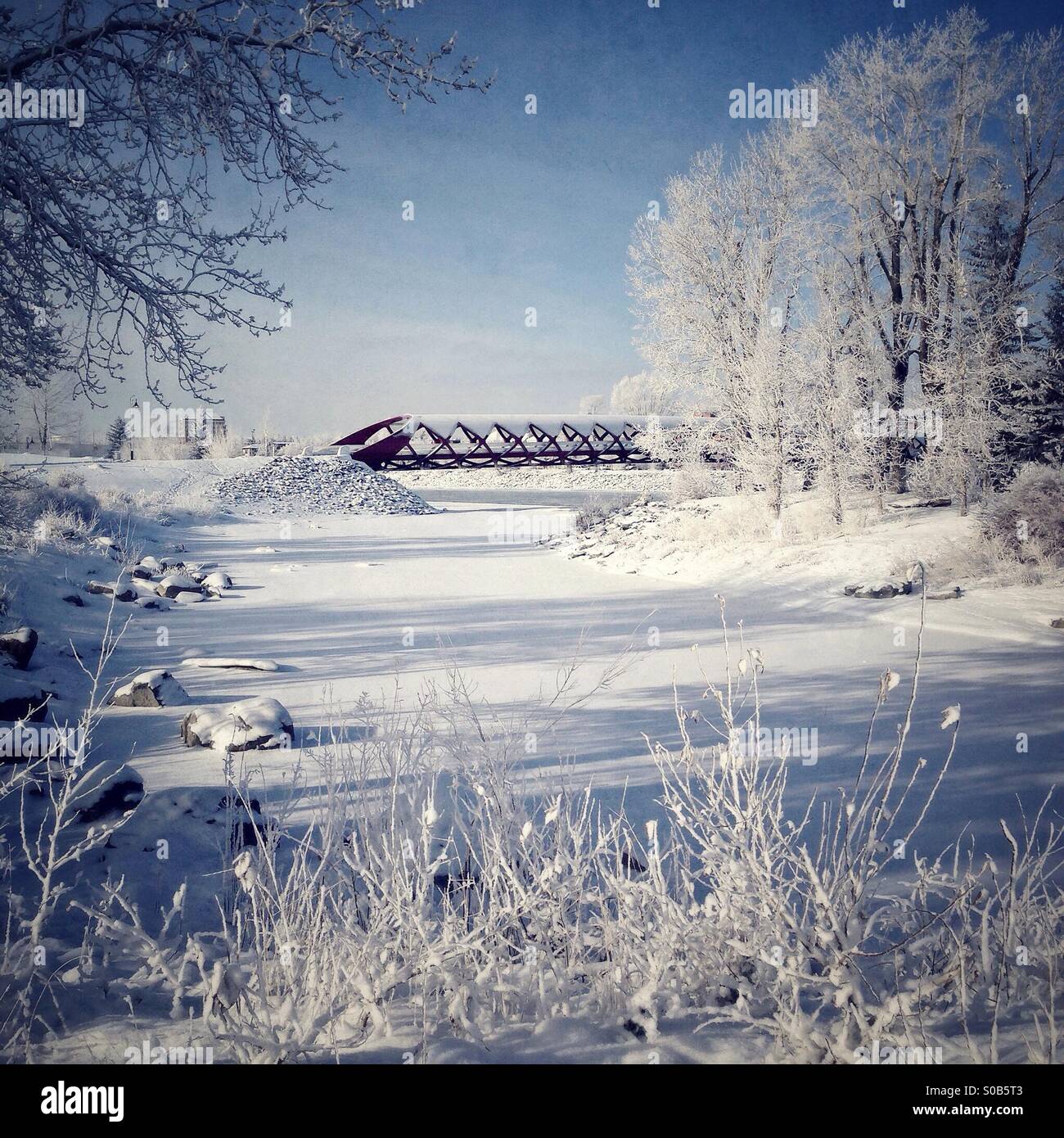 Calgary Friedensbrücke und Prince es Island Park, an einem Wintertag. Stockfoto