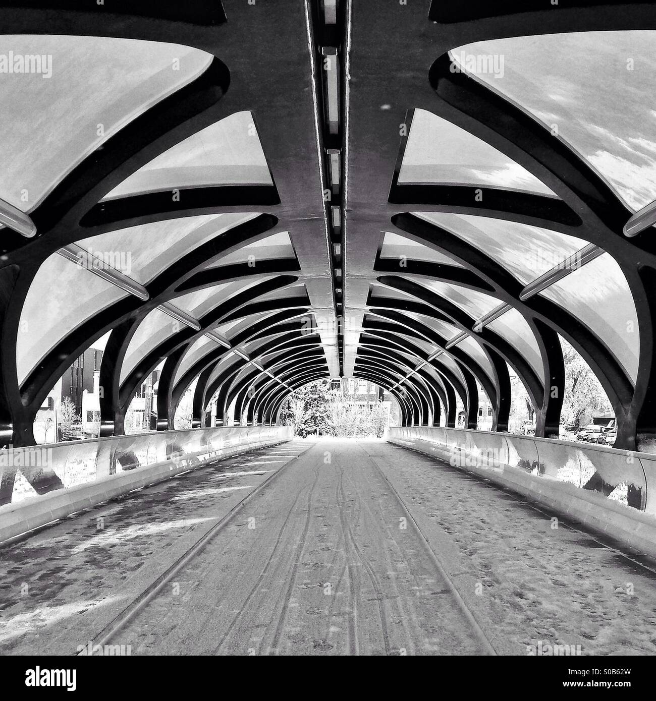 Monochrome Version von einer tief verschneiten Calgary Friedensbrücke. Stockfoto