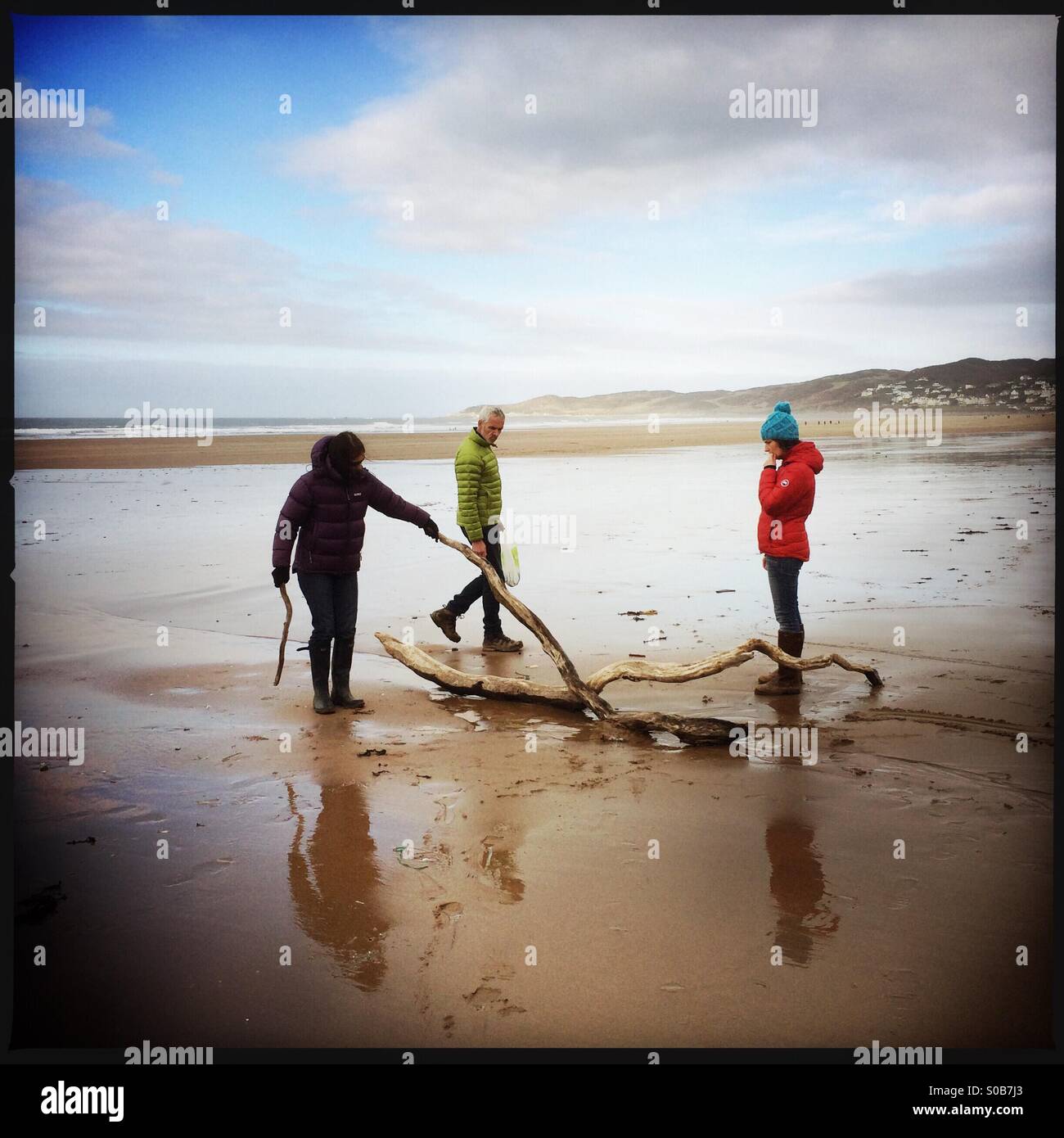 Abholung Treibholz am Strand - Smartphone-aufgenommenes Stockfoto