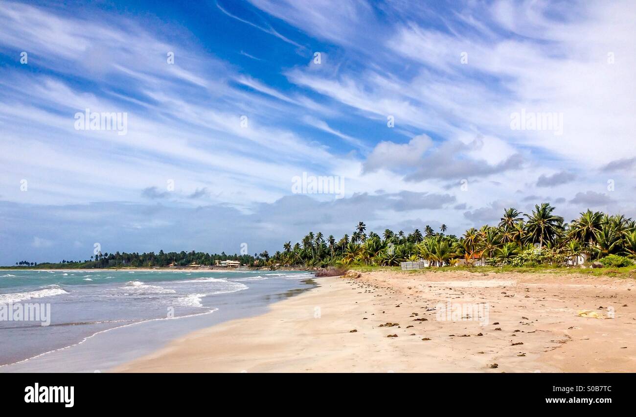 Paripueira Strand in der Nähe von Maceio, Brasilien Alagoas Stockfoto