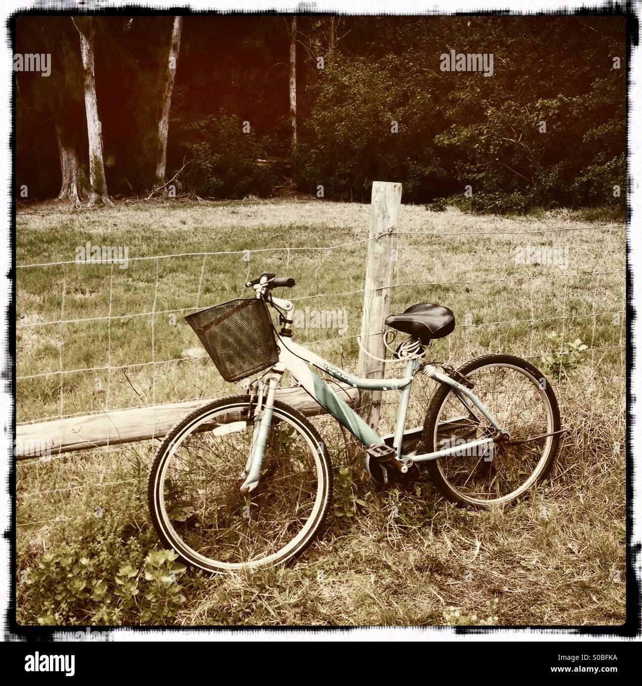 Ein Fahrrad für einen Zaunpfahl in der Landschaft von Florida gesperrt. Stockfoto