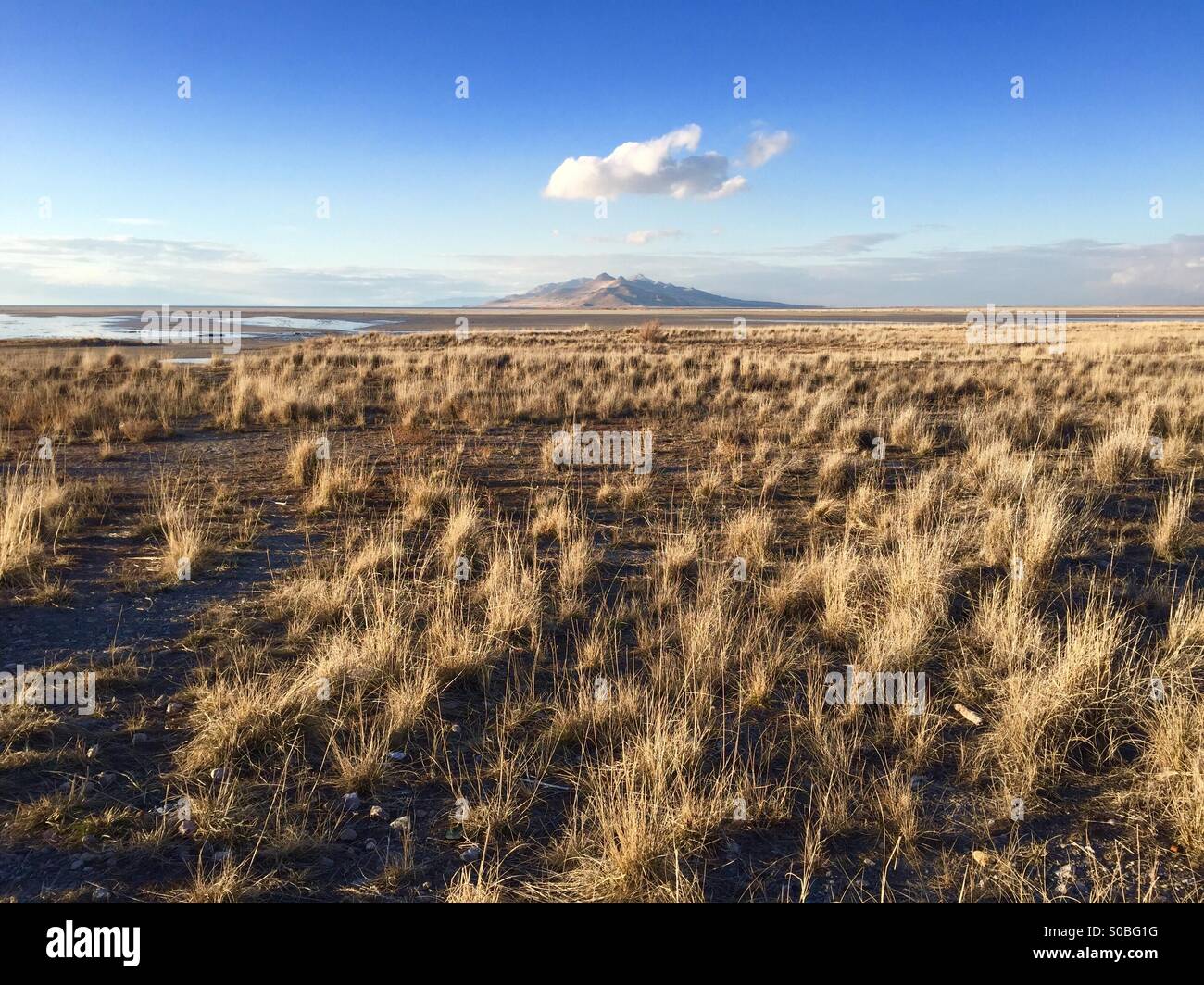 Eine einzige Wolke sitzt über Stansbury Insel in Great Salt Lake City, Utah. Stockfoto