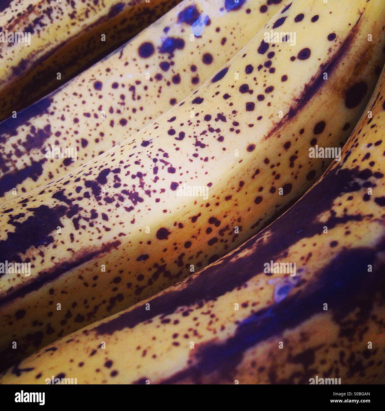 Reife Bananen Stockfoto