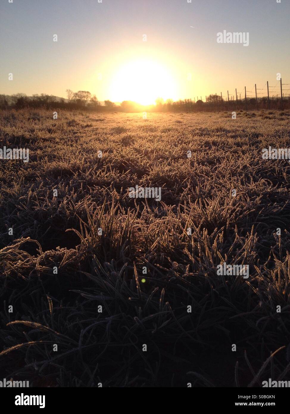 Aufgehenden Sonne über frostigen Feld Stockfoto