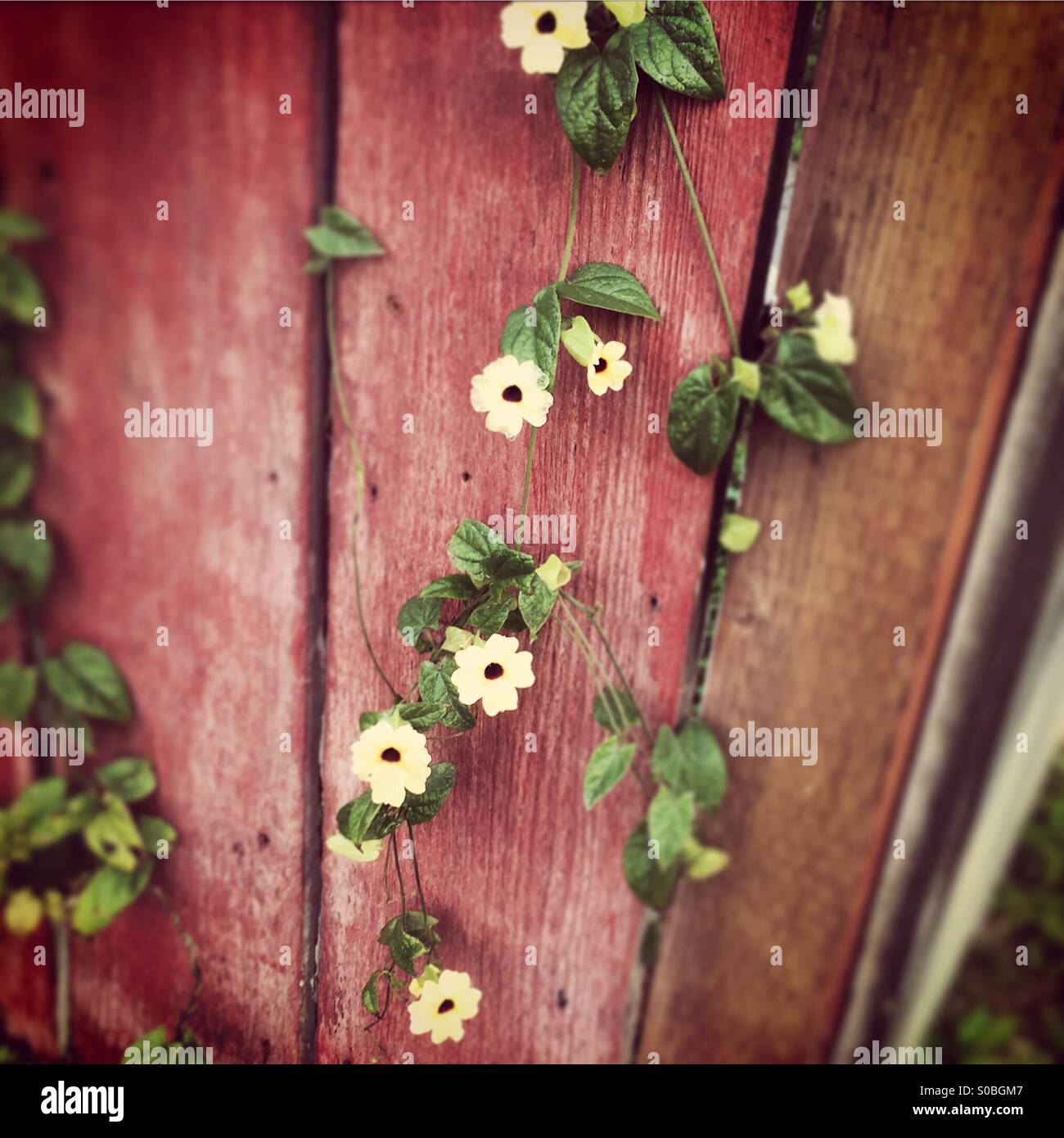Einfacher zaun Fotos und Bildmaterial in hoher Auflösung Alamy
