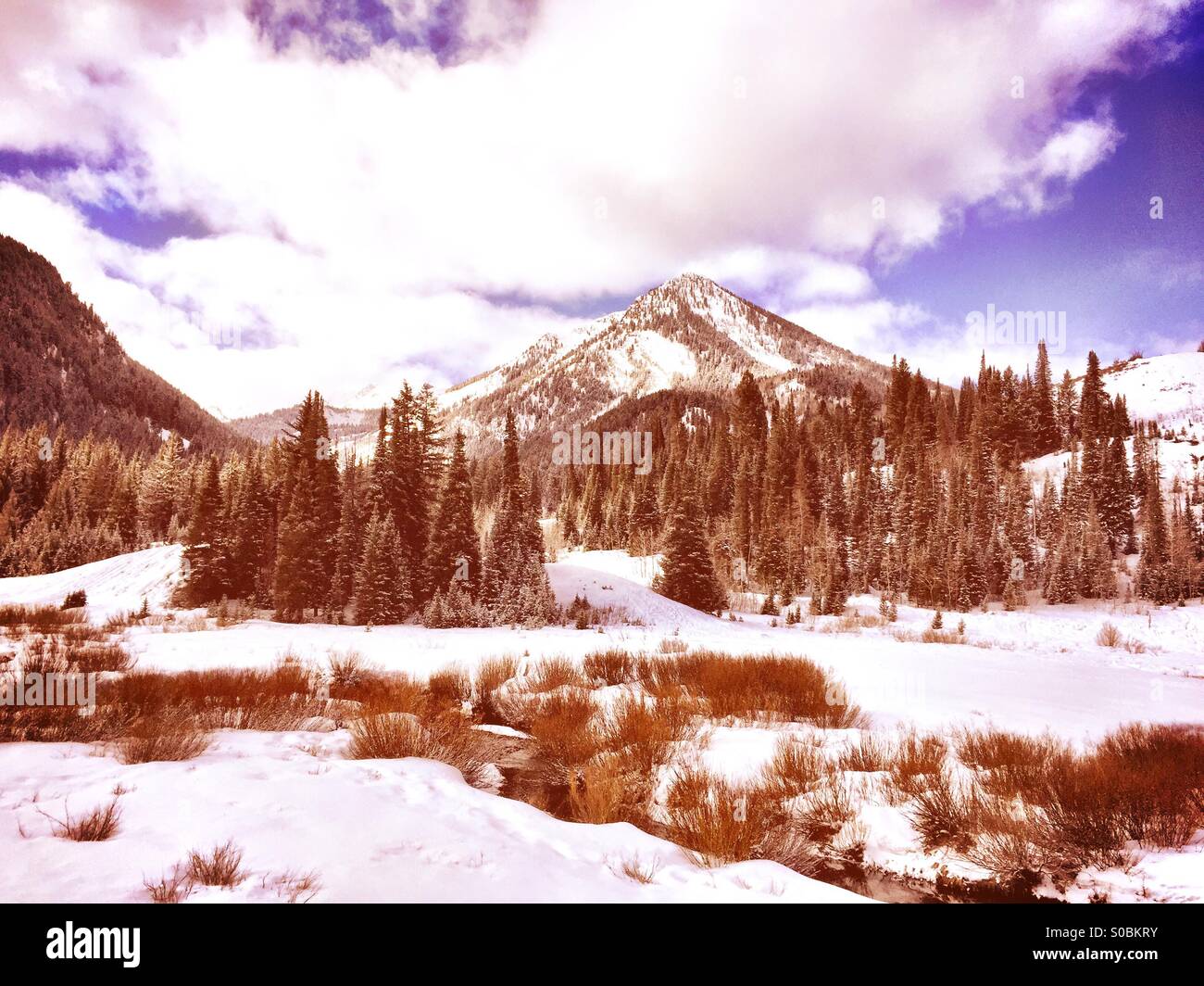 Verschneiten Wintertag in Utah ist in diesem Jahrgang aussehende Foto festgehalten. Stockfoto