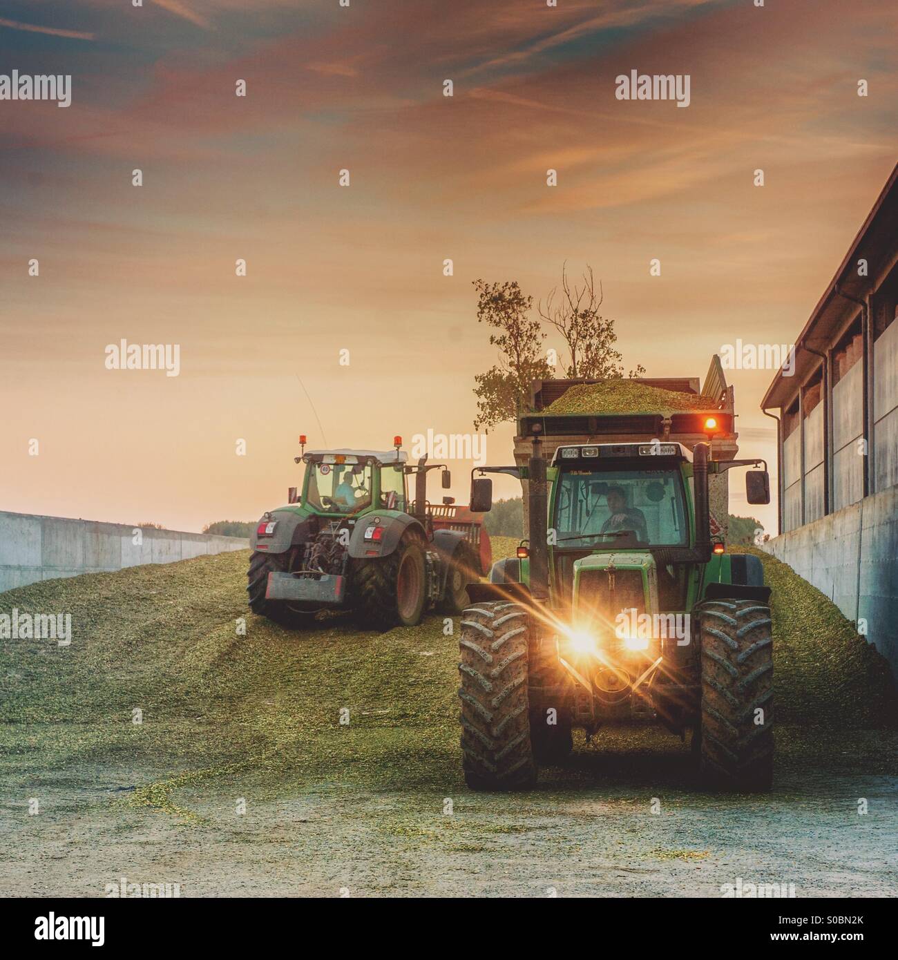 Landarbeit mit Traktoren Stockfoto
