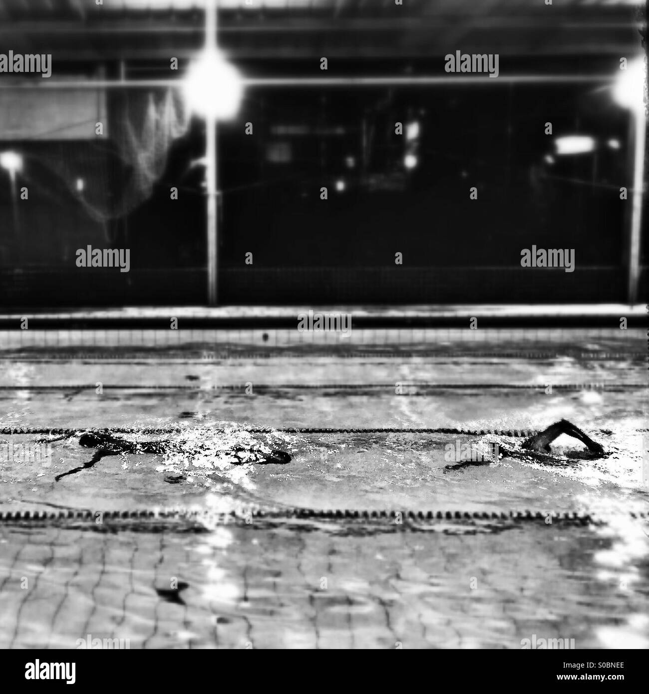 Menschen schwimmen. Stockfoto