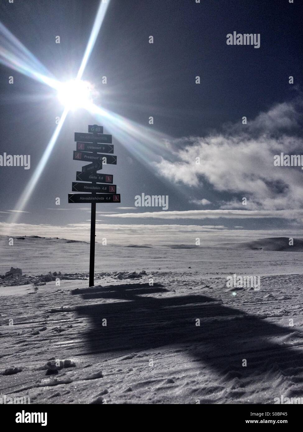 Melden Sie sich Ski-Piste. Stockfoto