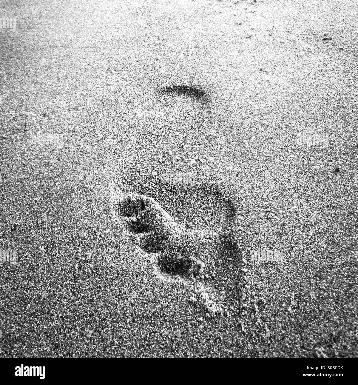 Fußabdruck im Sand am Strand Stockfoto