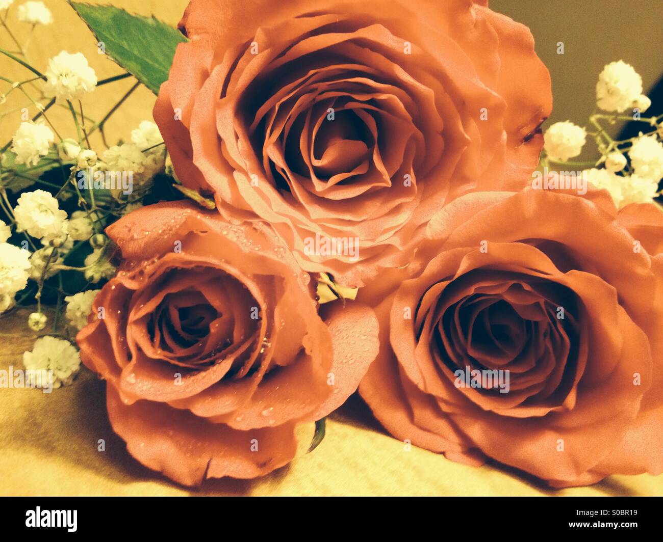 Drei Rosen auf Goldgrund - Smartphone-aufgenommenes Stockfoto