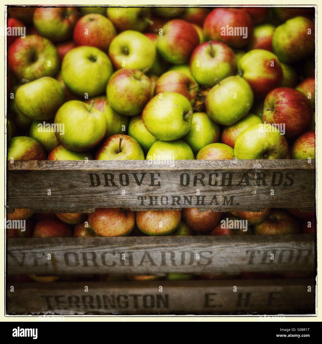 Äpfel in einer Holzkiste mit Schild, das auf Drive Orchards, Thornham, Norfolk, Großbritannien steht Stockfoto