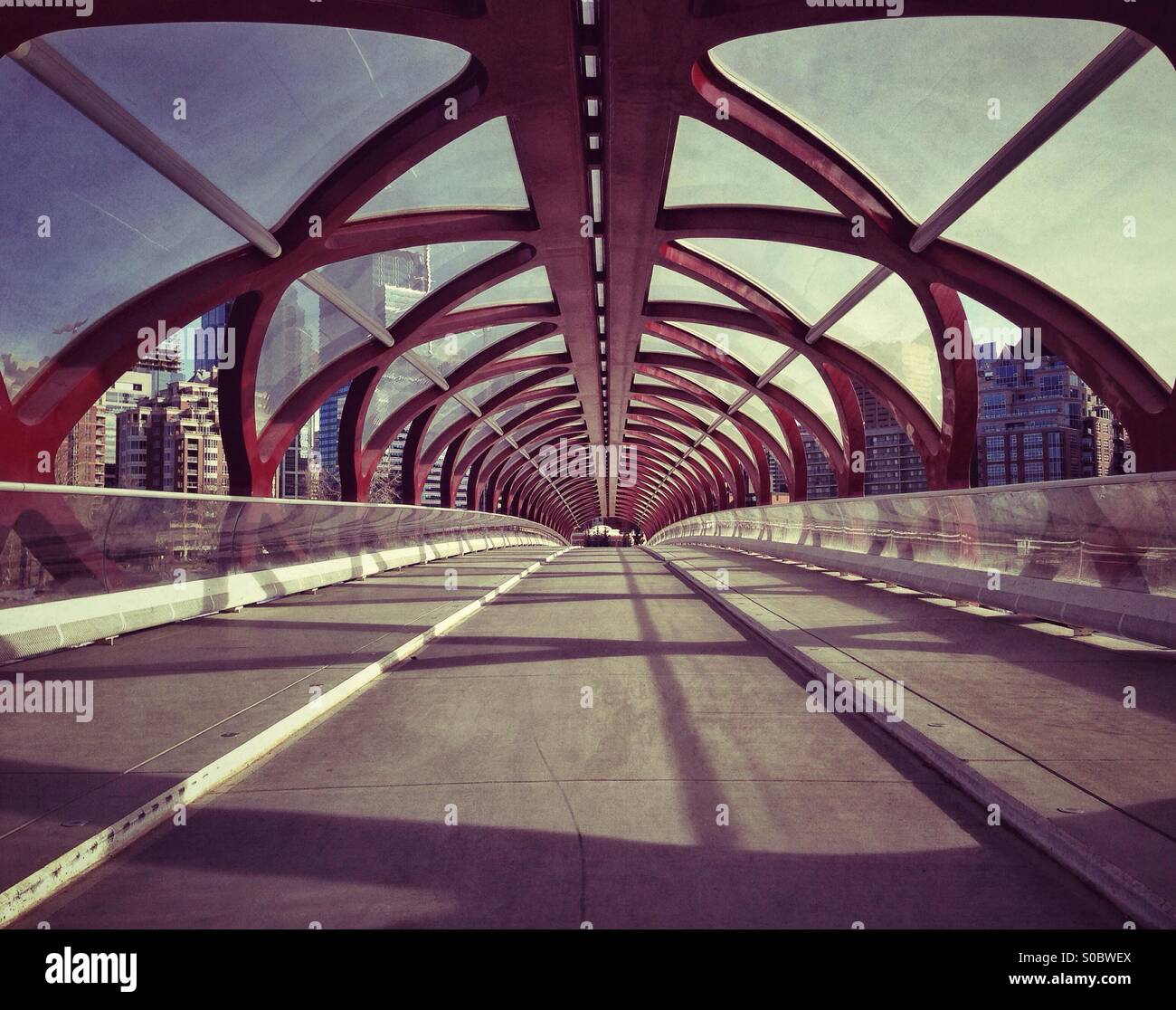 Die Calgary Peace Bridge, Blick in Richtung Innenstadt von Calgary. Alberta, Kanada. Stockfoto