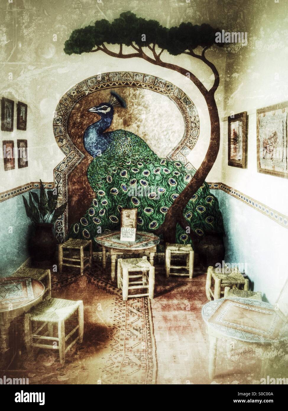 Wandmalerei der ein Pfau im Henna-Cafe. Marrakesch, Marokko. - Smartphone-aufgenommenes Stockfoto